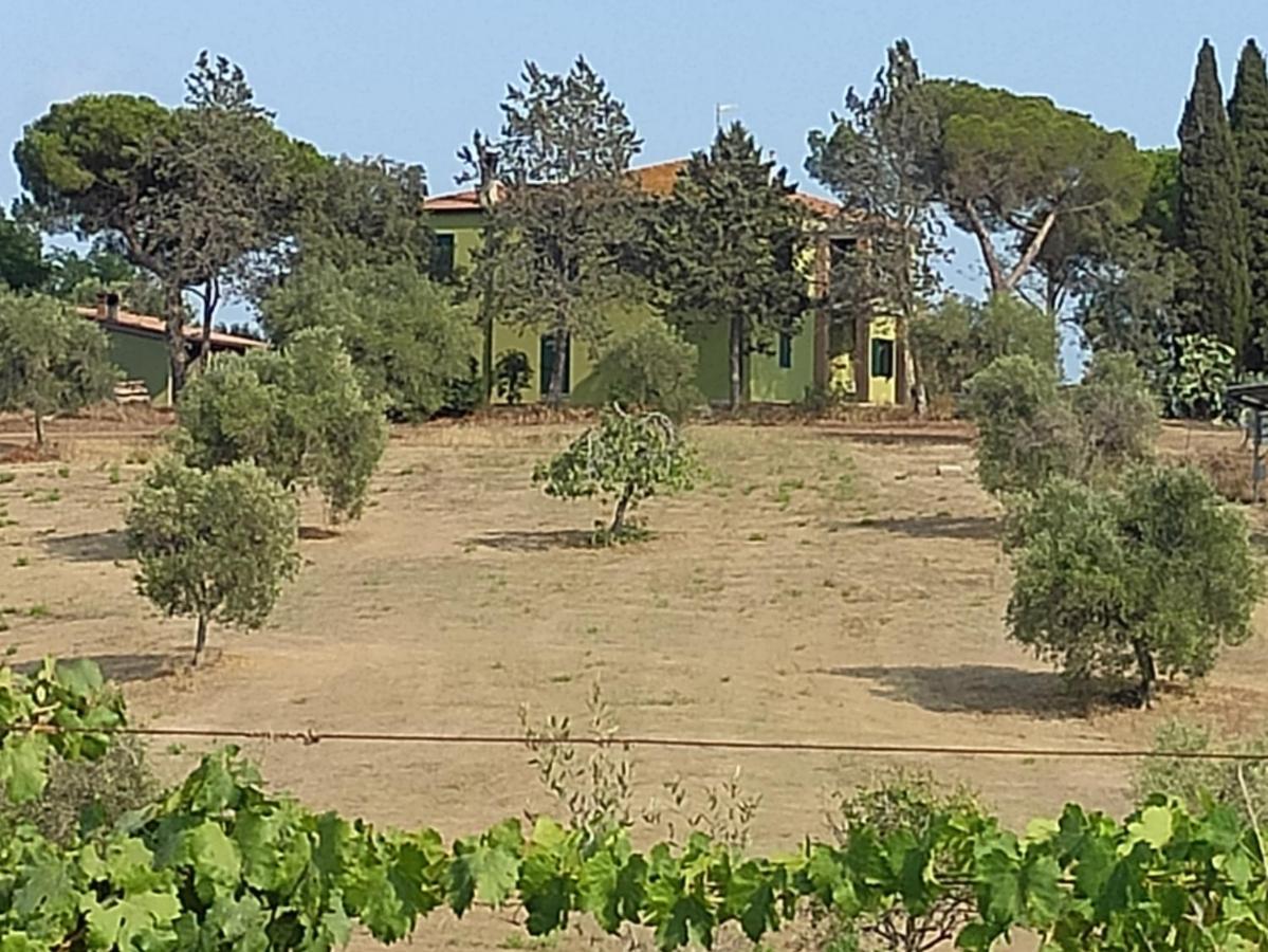 Agriturismo Poggio All'Olivo Follonica Exterior foto