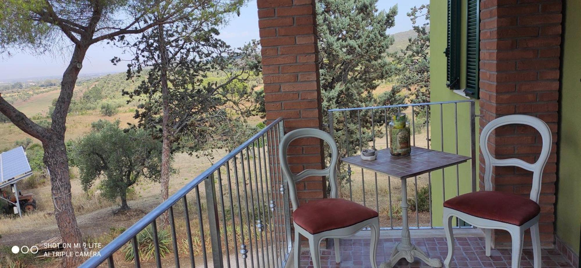 Agriturismo Poggio All'Olivo Follonica Cameră foto