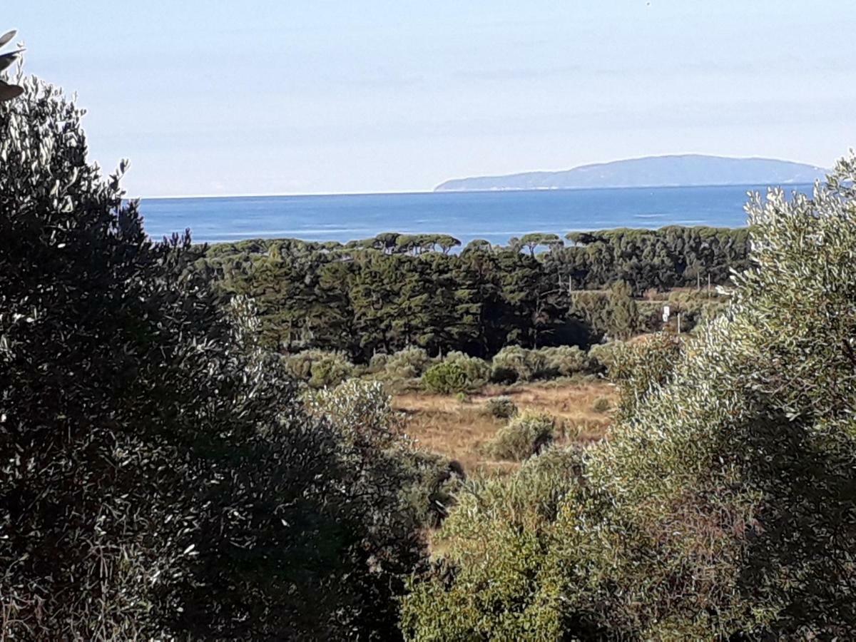 Agriturismo Poggio All'Olivo Follonica Exterior foto
